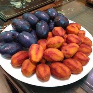 co ỏm phú thọ
